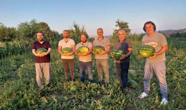 Vezirköprü Ovası'nda alternatif ürün 'karpuz'