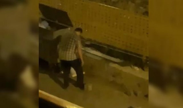 Yavru kedileri ayağıyla ezip öldürdü; tepki görünce kaçtı