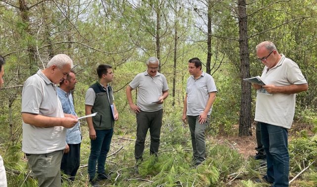 Yılmaz,"Planlı Müdahale Başarı Getirir"
