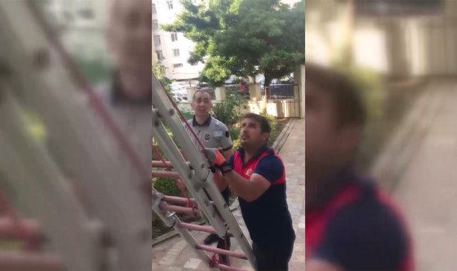 Yuvasından düşen yavru kuş, itfaiye ekiplerince kurtarıldı