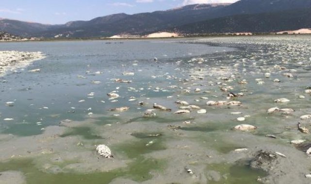'Avlan Gölü'nden geriye, birkaç su öbeği kaldı'