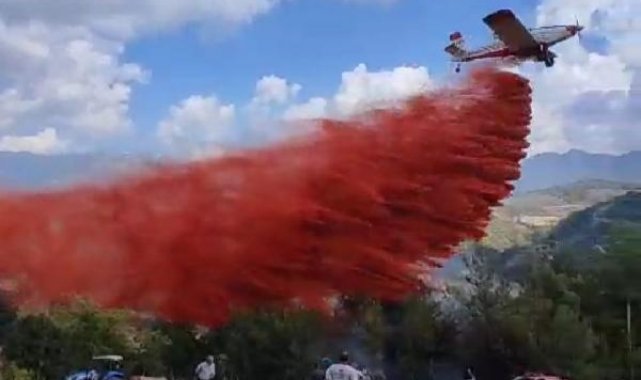 Adana'da iki mahallede orman yangını