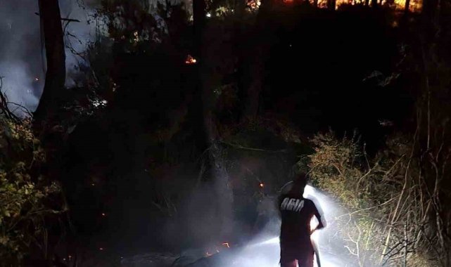 Adana'daki orman yangını büyümeden söndürüldü