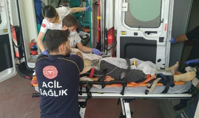 Ağaçtan düşüp, vücuduna dal saplandı; hastanede öldü