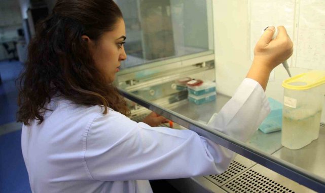 Akdeniz Üniversitesi, THE 2024 Dünya Üniversiteleri Sıralamasında ilk bin 200 üniversite arasında