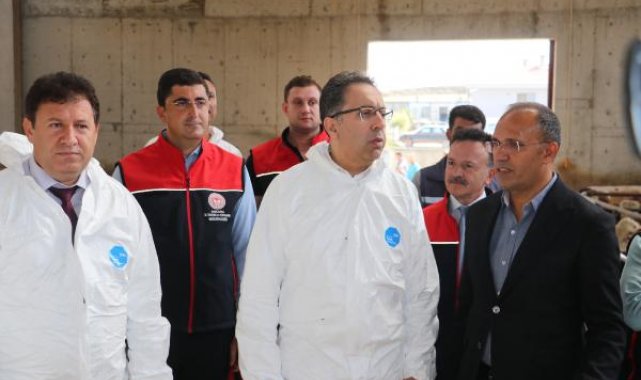 Ankara'da besi hayvanları, şap hastalığına karşı aşılandı