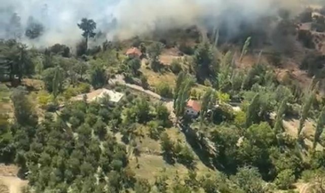 Antalya'da orman yangını