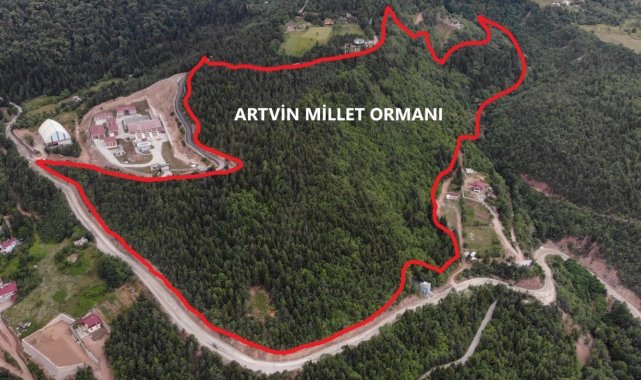 Artvin'e 10 Hektarlık alanda Millet Ormanı oluşturulacak