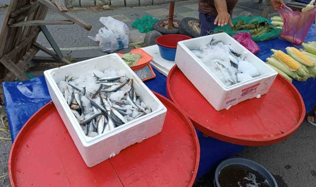 Av sezonu başladı, fiyatlar geriledi