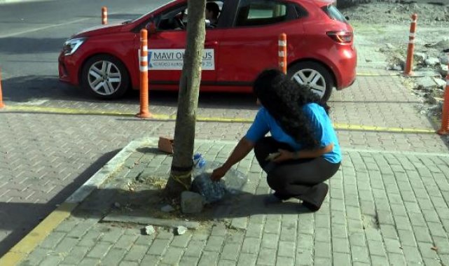 Avcılar'da sokak hayvanları kesici aletle öldürüldü