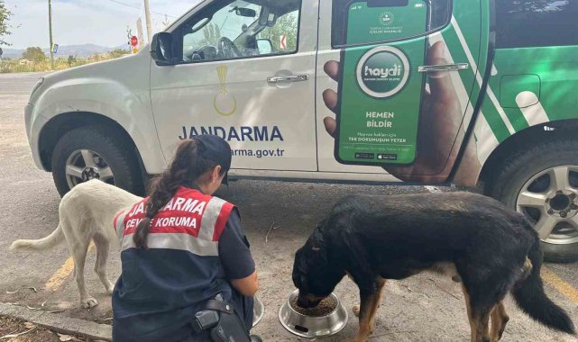 Aydın'da jandarma ekipleri denetimlerini sürdürüyor