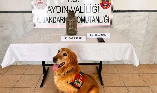 Aydın'da son 1 ayda 305 şüpheli yakalandı