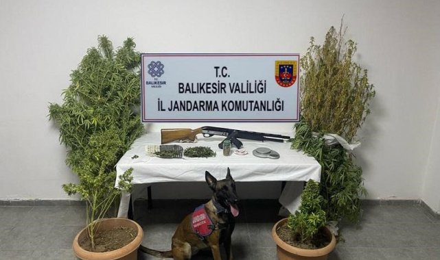 Ayvalık'ta bir kilogram uyuşturucu madde ele geçirildi