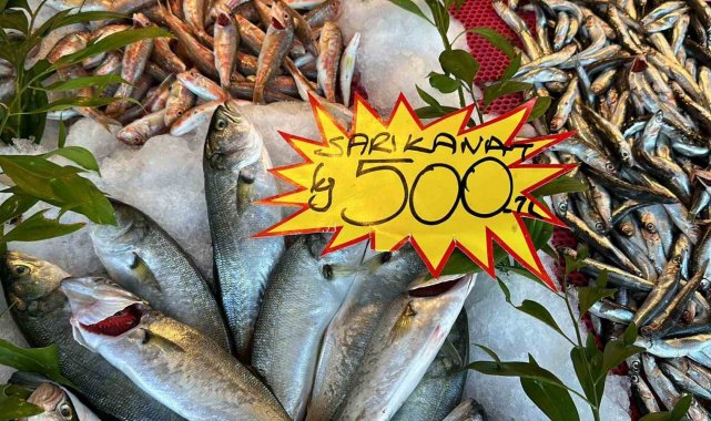 Balık çeşidi az olunca fiyatlar yükseldi