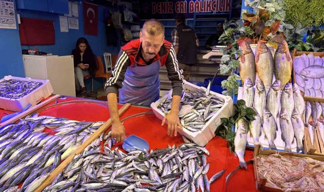 Balık sezonu açıldı tezgahlar renklenmeye başladı