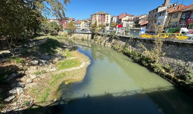 Bartın Irmağı'nda toplu balık ölümleri