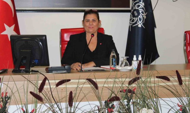 Başkan Çerçioğlu: "Ayulaş'ın hiçbir farklı faaliyet kolu yoktur"