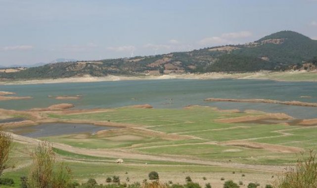 Bayramiç Barajı'nı besleyen dereler kurudu