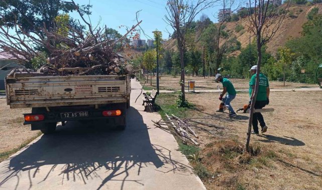 Bingöl Belediyesi, park ve bahçelerde bakım onarım çalışması başlattı