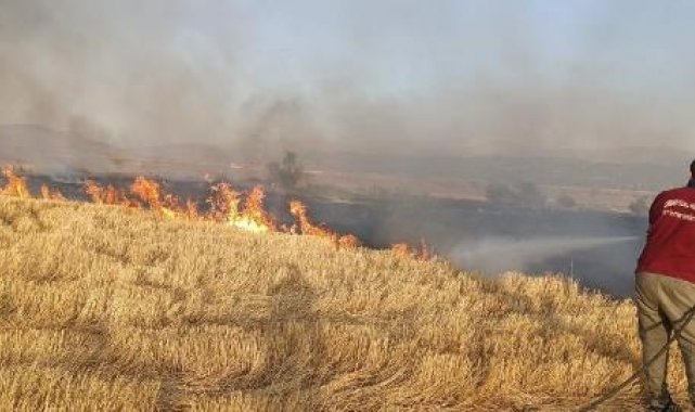 Bingöl'de örtü yangını kontrol altına alınarak söndürüldü