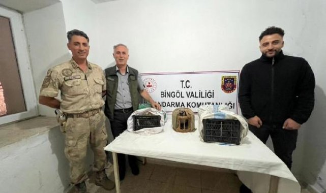 Bingöl'de yasadışı keklik avına 34 bin TL ceza