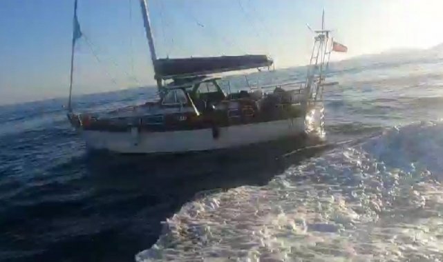 Bodrum'da 43 düzensiz göçmen yakalandı