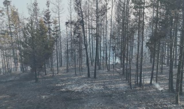 Bolu'daki orman yangını 22,5 saatte kontrol altında