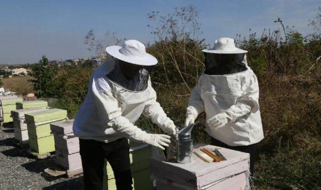 Büyükçekmece'de ilk bal hasadı gerçekleşti