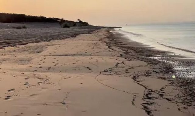 Çanakkale yangınının izleri, Edirne kıyılarında