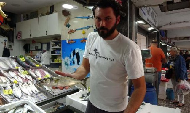 Çanakkale'de 'denizin prensi' lüfer, kilosu 600 TL'den tezgahtaki yerini aldı