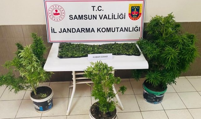 Çarşamba'da uyuşturucu operasyonu: 1 tutuklama