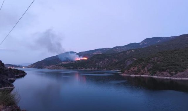Çorum'daki orman yangını, 5 saatte söndürüldü