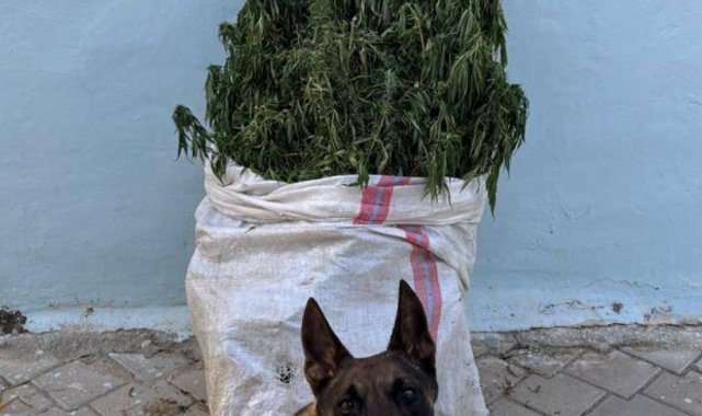 Denizli'de 10 kilo esrar yakalandı