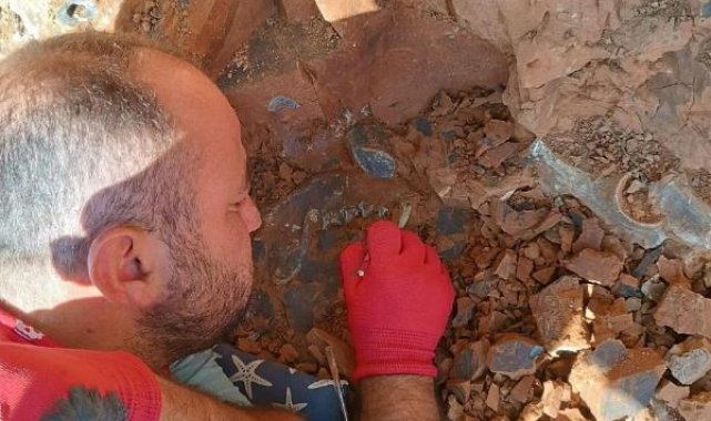Denizli'de, 9 milyon yıl öncesine ait hayvan fosilleri bulundu