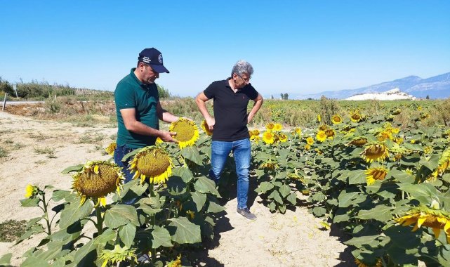 Didim'de haftalık kontroller devam ediyor