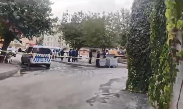 Elazığ'da iş makinesi ile kamyonun arasında kalan inşaat işçisi öldü