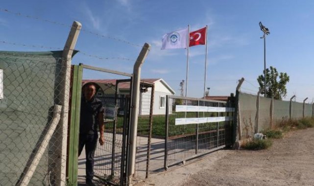 Eskişehir'de belediyenin hayvan bakımevine kapatma kararı