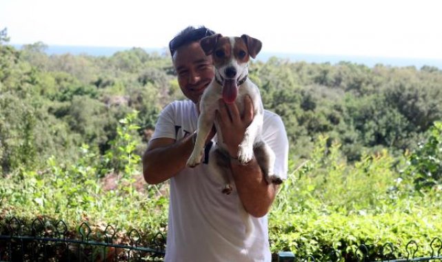 Falezlerden düşen köpek, kurtarma ekibinden kaçıp, yukarı kendisi çıktı