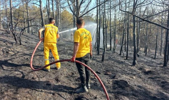 Gebze'de 2 dönüm orman yandı