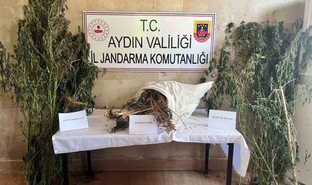 Germencik'te uyuşturucu operasyonu: 1 gözaltı