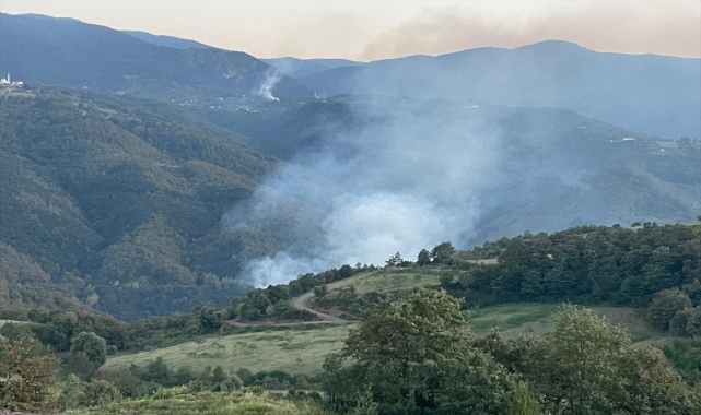 GÜNCELLEME - Kocaeli'de çıkan orman yangını söndürüldü