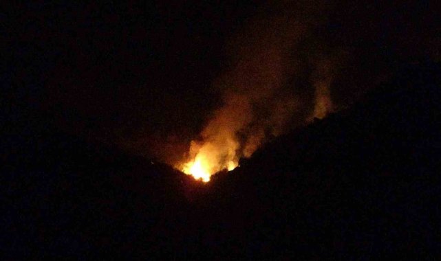 Hatay'da zeytinlik alanda çıkan yangın ekiplerin çalışmasıyla kontrol altına alındı