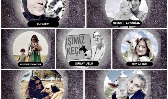 İnegöl'de küçükbaş hayvancılık festivali başlıyor