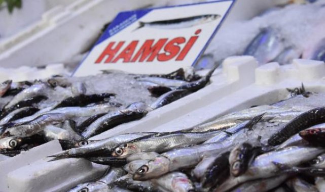 İstanbul'da balıkçıların anlaşması, Ordu'da hamsi fiyatlarını düşürdü