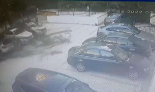 Kadıköy'de aracın üstüne devrilen ağaç 51 daireyi icralık etti