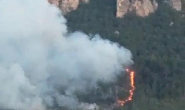 Karabük'te orman yangını