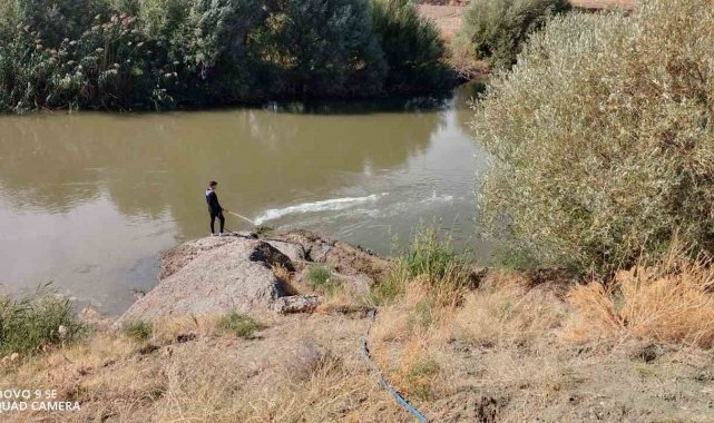 Kızılırmak'ta üvez sineği ile etkin mücadele devam ediyor