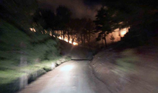 Köyceğiz Otmanlar'da 3 hektar ormanlık alan yandı