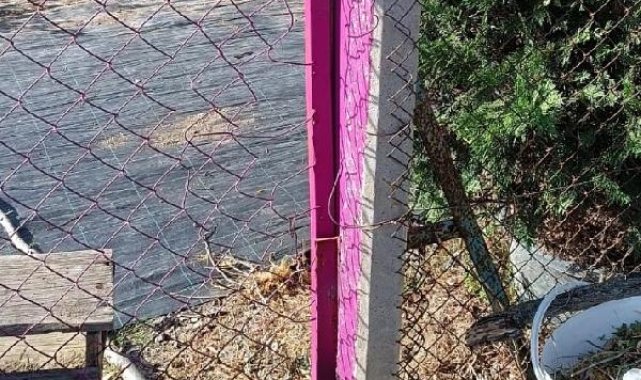 Kuşburnu toplamak için evden çıktı, bir gün sonra tel örgülere takılı, yaralı bulundu