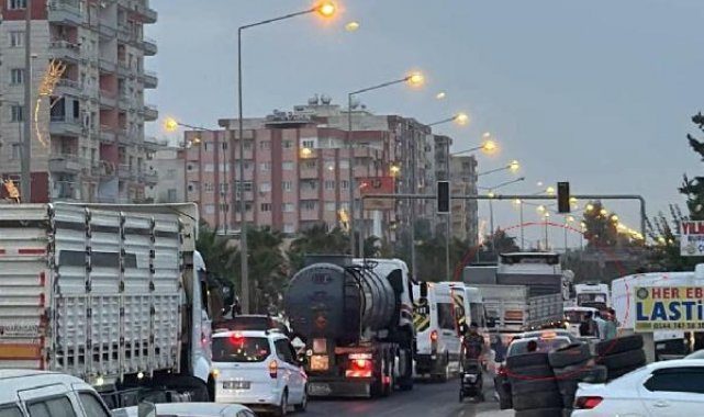 Mardin'de TIR'ın çarptığı yaya, öldü